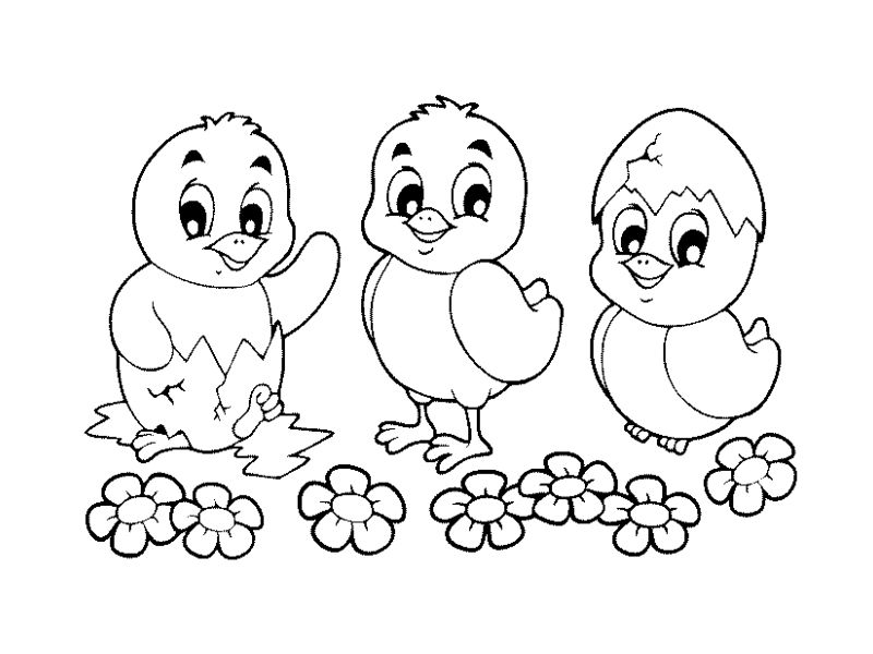 Tranh tô màu đàn gà con đơn giản
