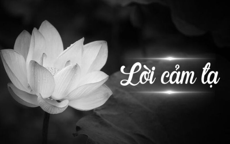 Lưu ý khi sử dụng avatar hoa sen trắng đám tang