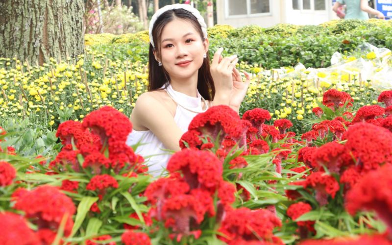 Hình nền ảnh hoa đẹp tự nhiên