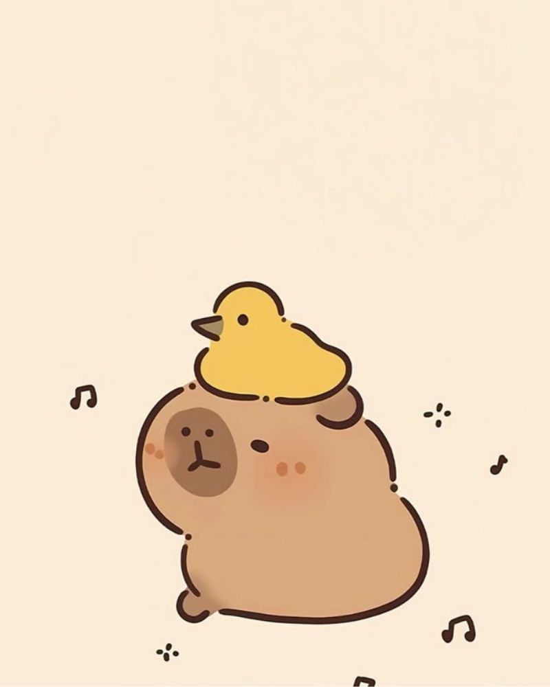 Avatar hình nền capybara vô tri