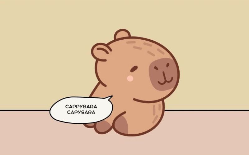 Hình nền capybara trên facebook