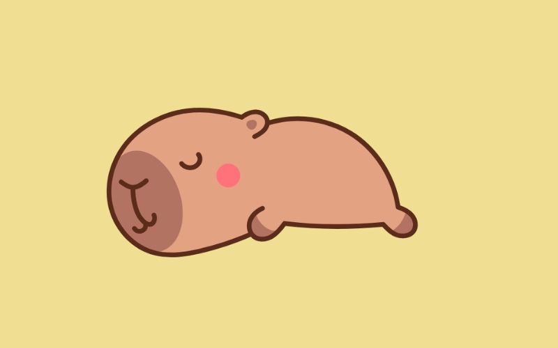 Hình nền máy tính Capybara