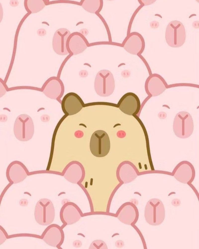Ảnh nền capybara màu hồng đáng yêu